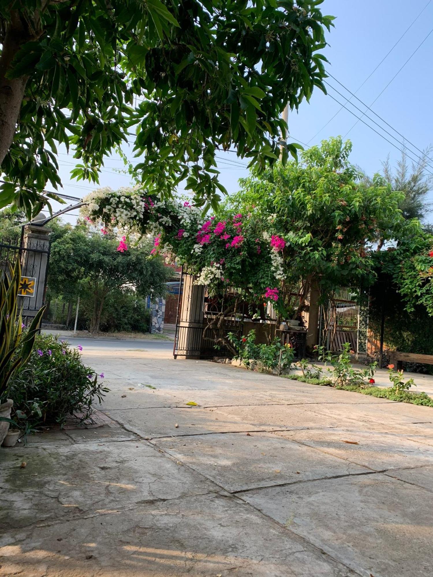 Yellow Farm Homestay Dong Tac Esterno foto